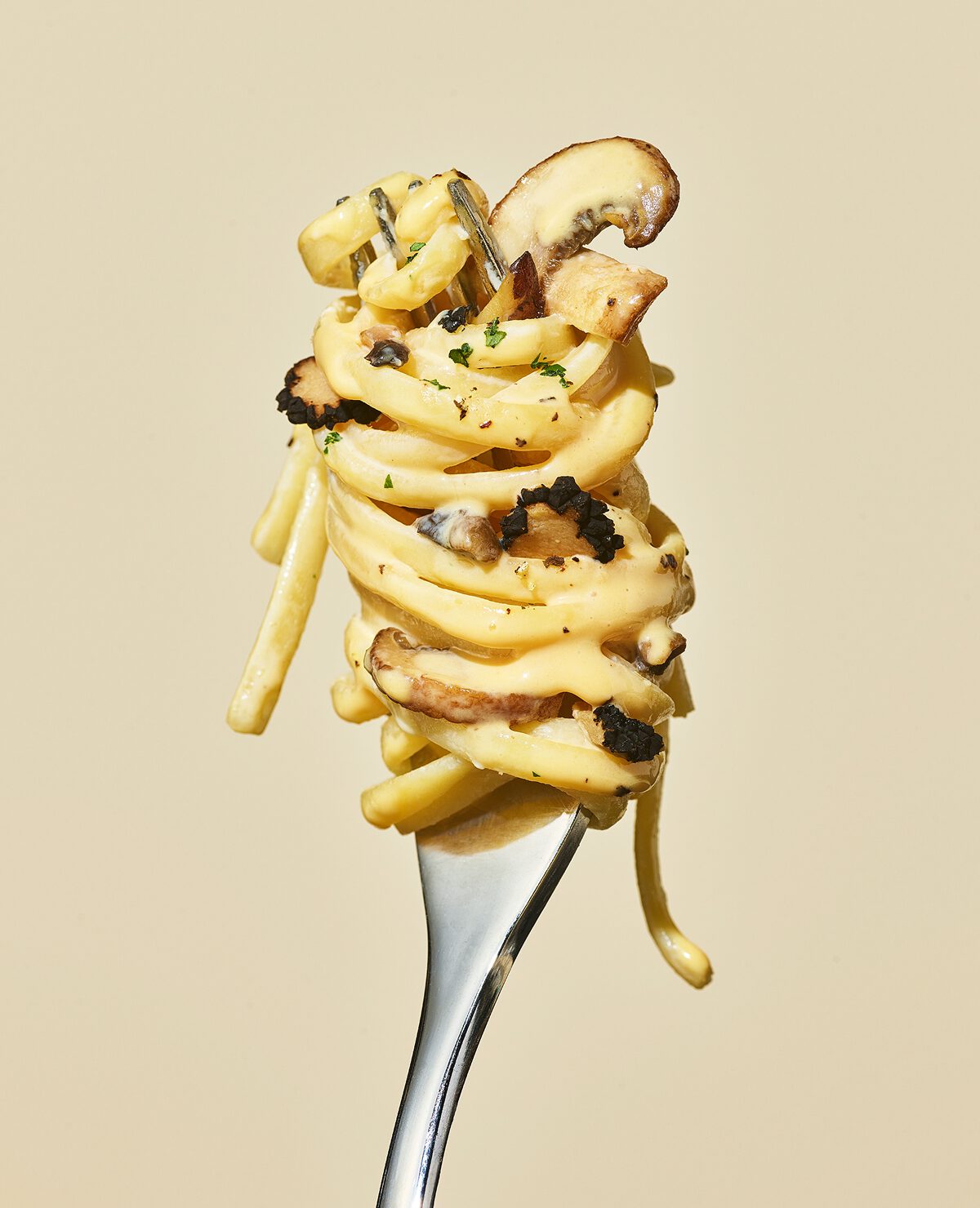 Tangle - Creamy Mushroom Pasta